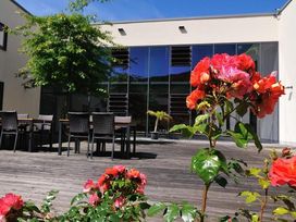 Kurzurlaub in Düsseldorf - 7 Tage im ruhigen Viertel