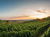 3 Tage Kurzurlaub am Kaiserstuhl