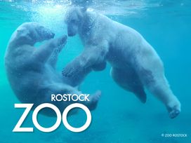 Zoo Rostock Tickets mit Hotel