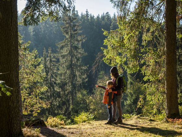 3 Tage Kurzurlaub mit Frühstück im Holiday Inn Villingen - Schwenningen