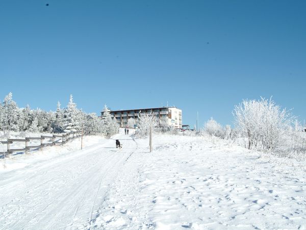 2 Tage Wellness- und Erhol-Auszeit im Hotel Schliffkopf in Baiersbronn, Baden-Württemberg inkl. Halbpension Plus