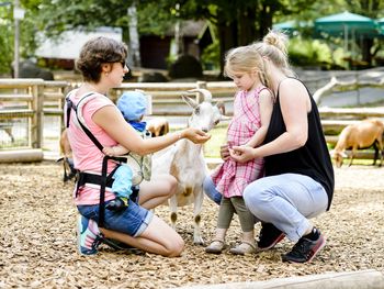 Tiergarten Nürnberg mit Hotel