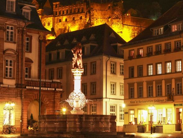 Hotel Goldener Falke