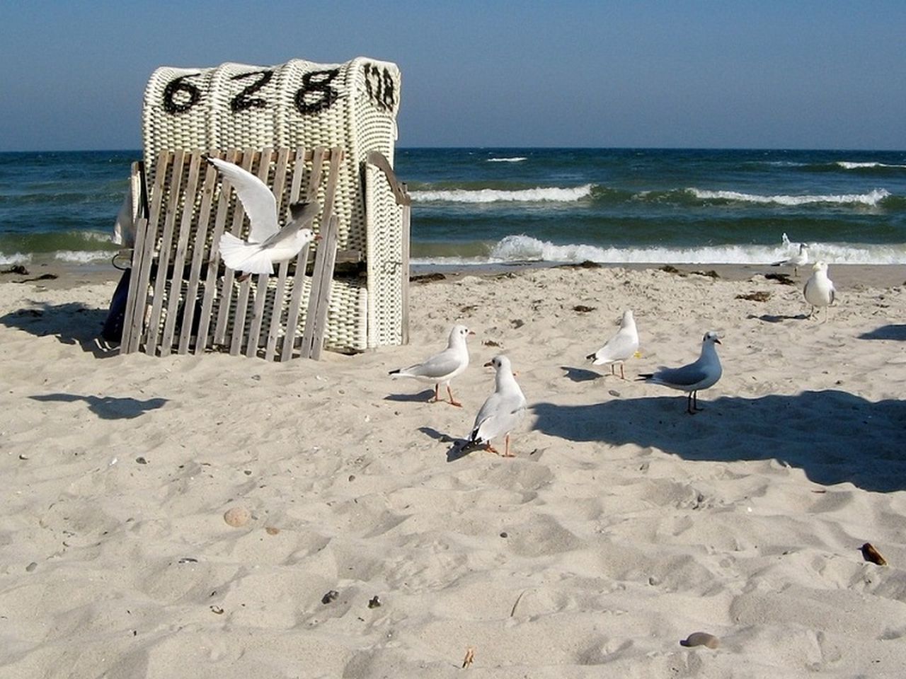 Urlaub nahe der Ostsee - 4 Nächte