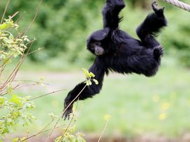 Serengeti Park Hodenhagen mit Hotel