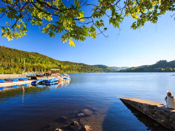 4 Tage 5 Erholungstage im Schwarzwald in Furtwangen - Neukirch, Baden-Württemberg inkl. Frühstück