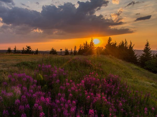 2 Tage Kleine Auszeit im Thüringer Wald in Bad Tabarz, Thüringen inkl. Halbpension