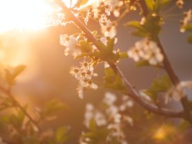 5 Tage Frühlings-Schnäppchen in Seiffen