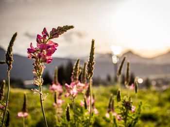 4 Tage Auszeit im wunderschönen Klosters-Serneus