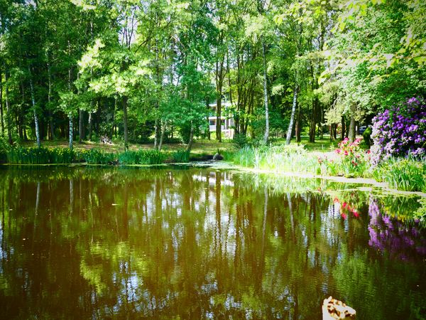 Zum Kennenlernen inkl. 5-Gang-Menü und Wellness in Essel OT Ostenholzer Moor, Niedersachsen inkl. Halbpension