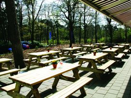 3 Tage Waldhotel in Brabant – Ruhe & Natur erleben