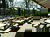 3 Tage Waldhotel in Brabant – Ruhe & Natur erleben
