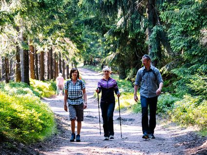 Wander-Erlebnis Rennsteig & Thüringer Wald