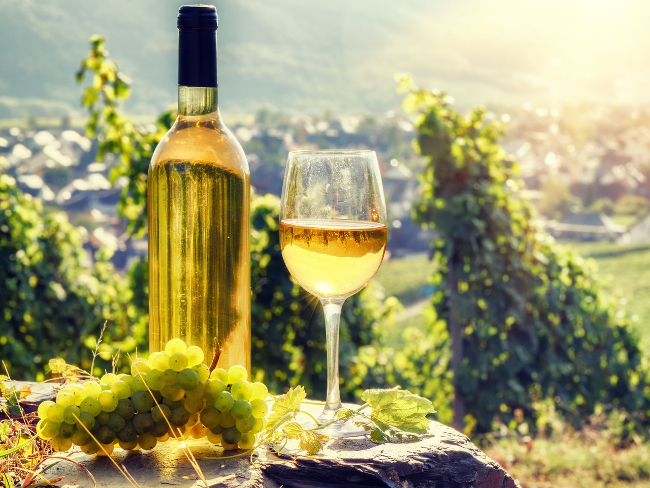 6=5 Wein - Genuss - Tage am Kaiserstuhl