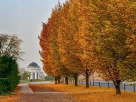 Goldener Herbst in Kassel