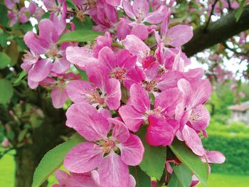 Bild 7 von 74