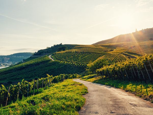 Biker-Spaß – 2 Tage mit dem Motorrad durchs Neckartal in Neckarsulm Frühstück