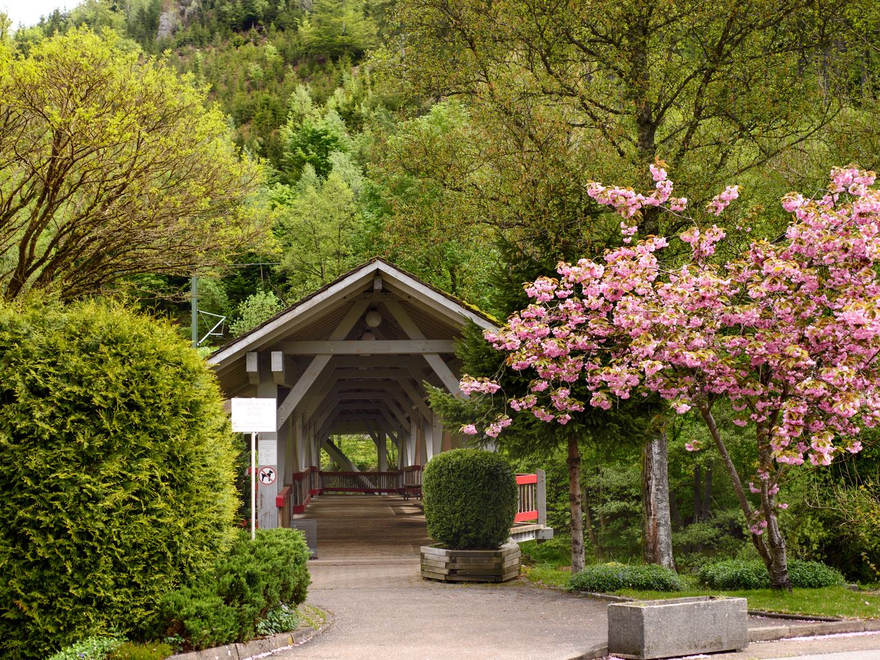 Geburtstags-Spezial mit Massage im Schwarzwald