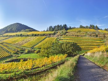 Hans-Meyer-Geburtstagsweg-Wandern in Franken