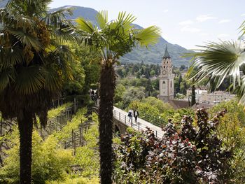 Schenna genießen – Entspannen mit Blick auf Meran