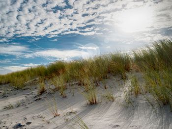 3 Tage Nordsee-Auszeit in Zeeland mit Frühstück