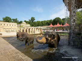Erlebnis-Zoo Hannover mit Hotel
