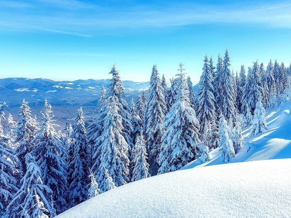 3 Tage Winter in Oberhof, Thüringen inkl. Halbpension