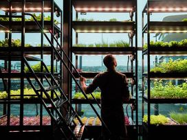 7 Tage Urlaub im Herzen von Arnheim