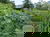 Familien-Urlaubswoche im veg. Bio-Resort 8 Tage
