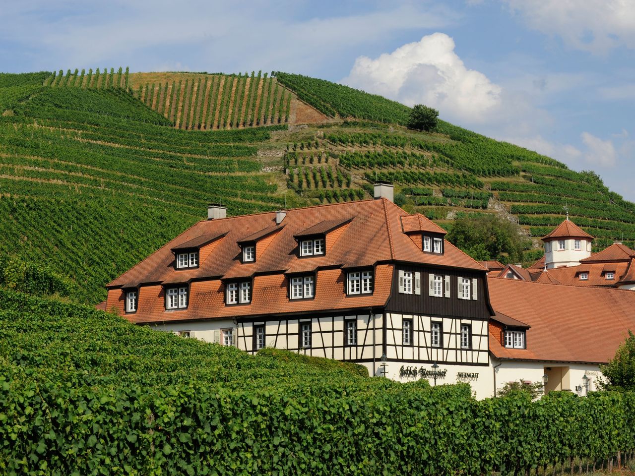 3 Badener-Wohlfühltage inmitten von Weinbergen