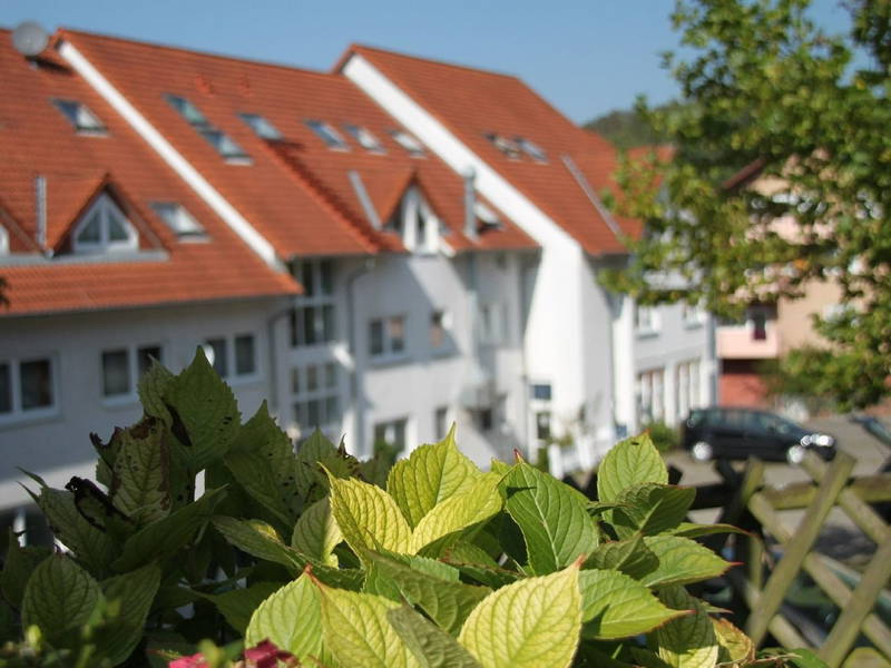 Ab in die Therme Sinsheim