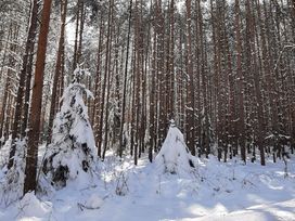 3 Tage Thermenauszeit im Herzen Thüringens inkl. Sekt