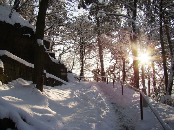 4 Tage Winterwandern in Bad Schandau, Sachsen inkl. Halbpension