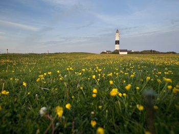 4 Tage auf der Nordseeinsel Sylt mit Frühstück