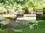 Entspannungszeit Therme und Massage
