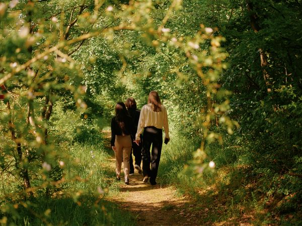 Lufthansa Seeheim Kurzstrecken-Erlebnis im Odenwald in Seeheim-Jugenheim Halbpension Plus