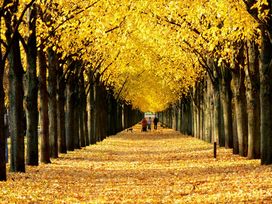 2 Tage im H+ Hotel Hannover mit Frühstück