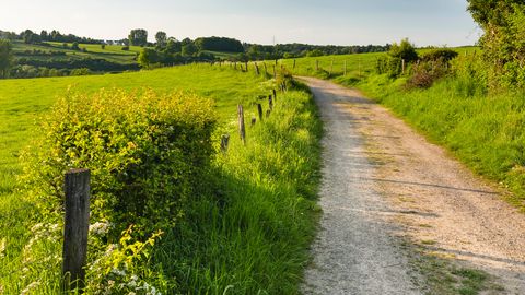 Wanderweg in der Nordeifel