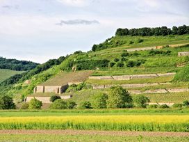 6=5 Wein - Genuss - Tage am Kaiserstuhl