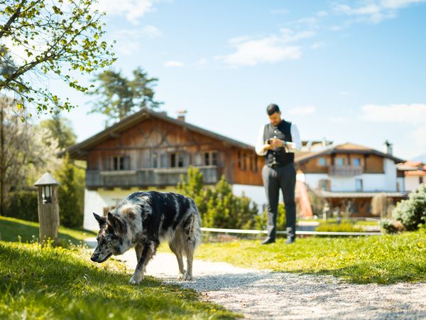 5 Tage Pineta. Natur. Nichts müssen – 4 Nächte Luxus& Genuss in Predaia, Trentino-Südtirol inkl. Halbpension Plus
