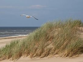 2 Tage Kurzurlaub mit Frühstück im Two Brothers Noordwijk Beach