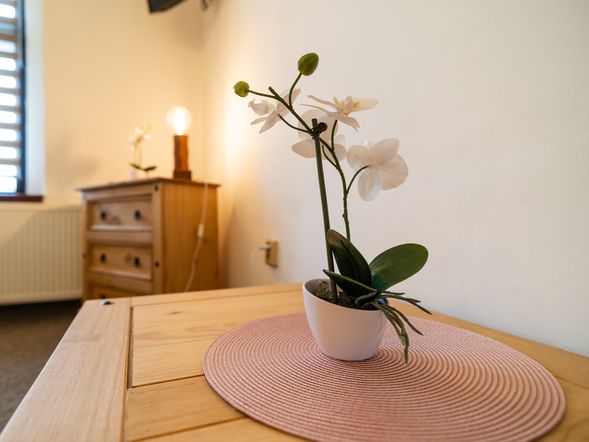 Doppelappartement