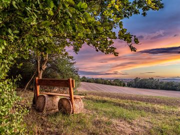 Wellnessurlaub im Harz