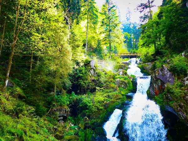 DEAL - 3 Tage im Schwarzwald mit 20 Prozent Rabatt in Lauterbach (Schwarzwald), Baden-Württemberg inkl. Frühstück