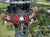 Bayern Park mit Hotel