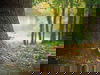 Silvester ohne Trubel 29.12.25-01.01.26