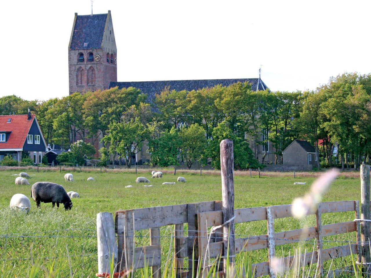 6 Tage Strandparadies Ameland Natur und endlose Weite