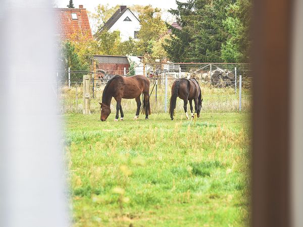 3 Tage raus mit der ganzen Familie in Neuruppin, Brandenburg inkl. Frühstück