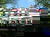 3 Tage Waldhotel in Brabant – Ruhe & Natur erleben