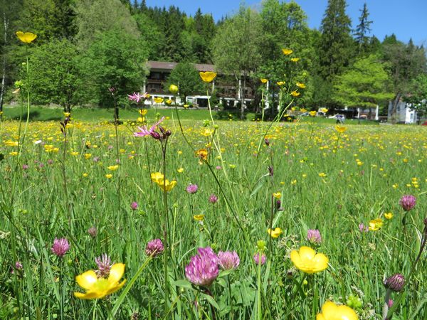 2 Tage Mutter-Tochter-Auszeit in Füssen, Bayern inkl. Frühstück